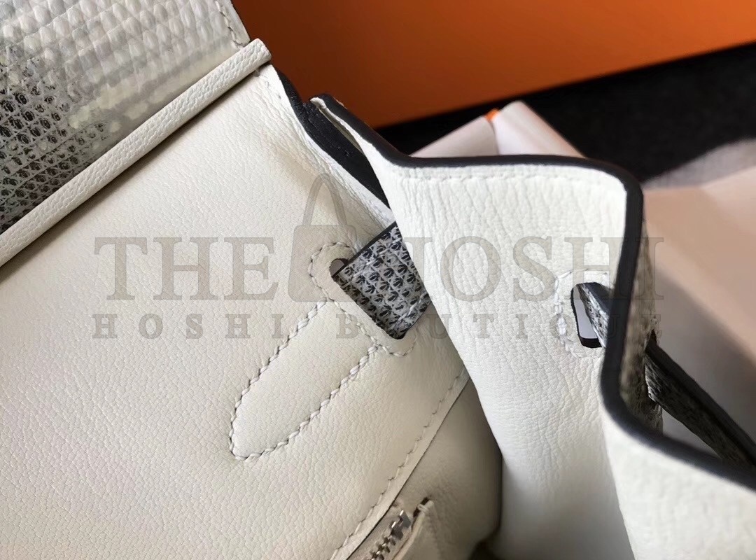 H**me5 Birkin 30cm Bag In Ombre Embossed Natural Lizard Master Quality