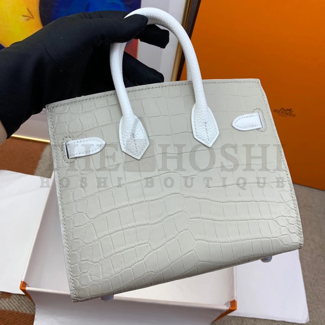 H**me5 Snow Sac Faubourg Birkin 20 Sellier Limited Edition Bag Master Quality