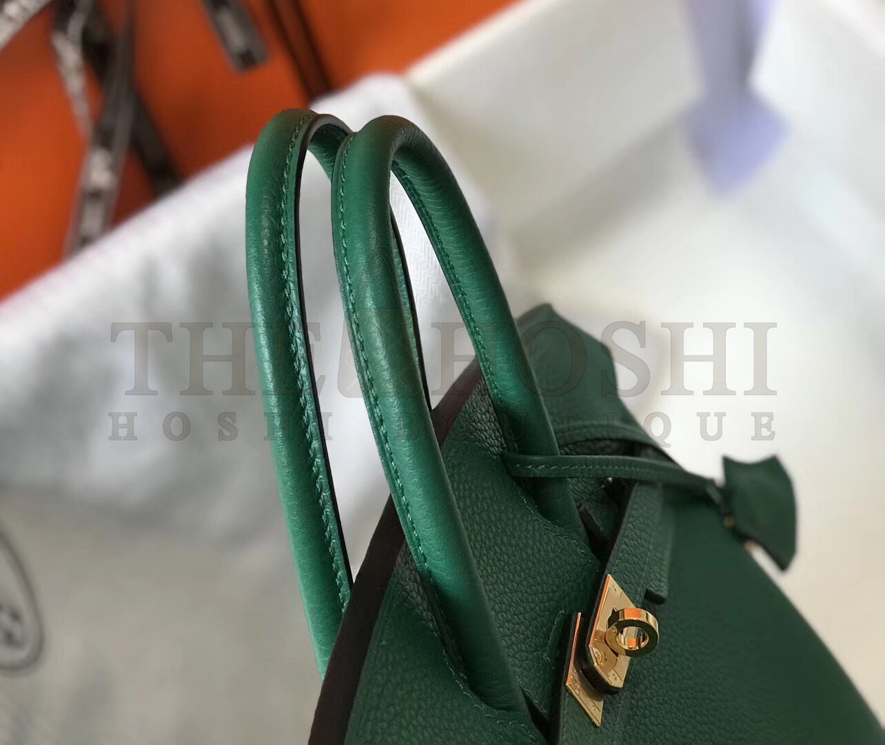 H**me5 Birkin 25 Bag In Vert Vertigo Clemence Leather with GHW Master Quality