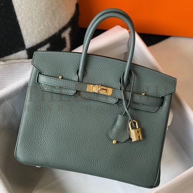 H**me5 Birkin 25cm Bag In Vert Amande Clemence Leather Master Quality