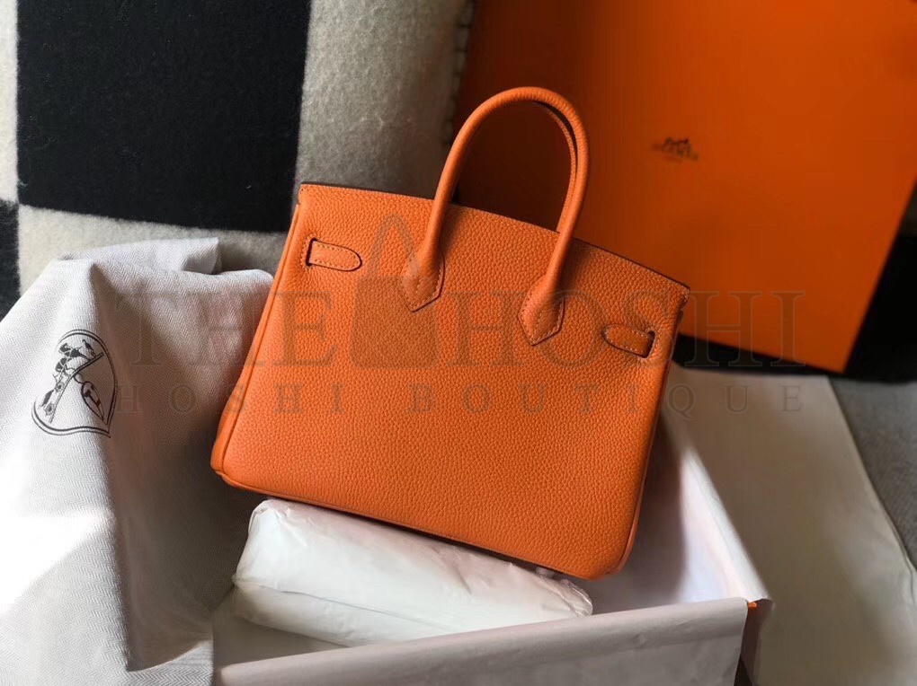 H**me5 Birkin 25 Bag In Orange Clemence Leather with GHW Master Quality