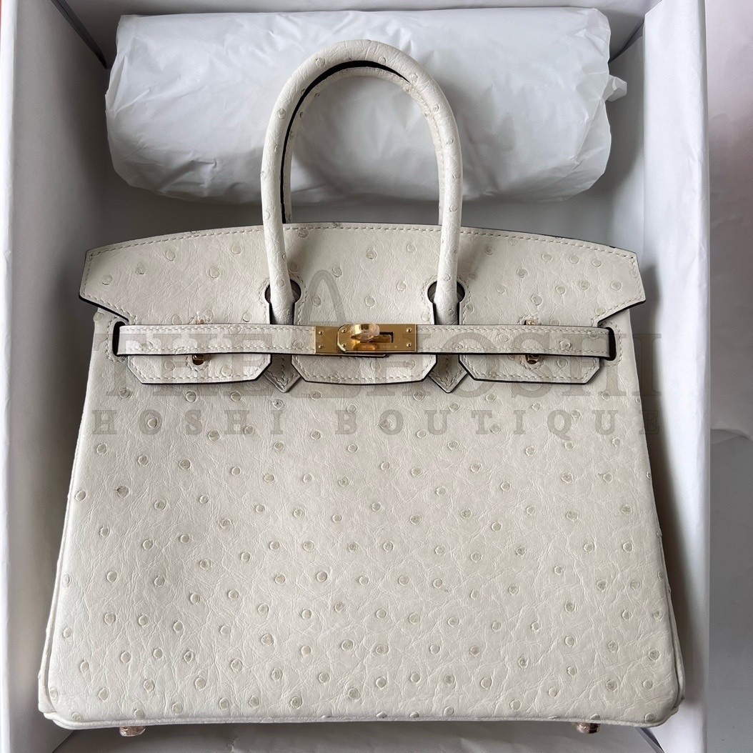 H**me5 Birkin 25 Retourne Handmade Bag In Beton Ostrich Leather Master Quality