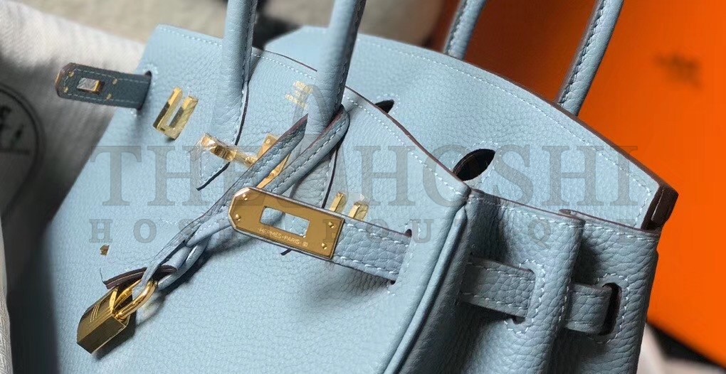 H**me5 Birkin 25 Bag In Blue Lin Clemence Leather with GHW Master Quality