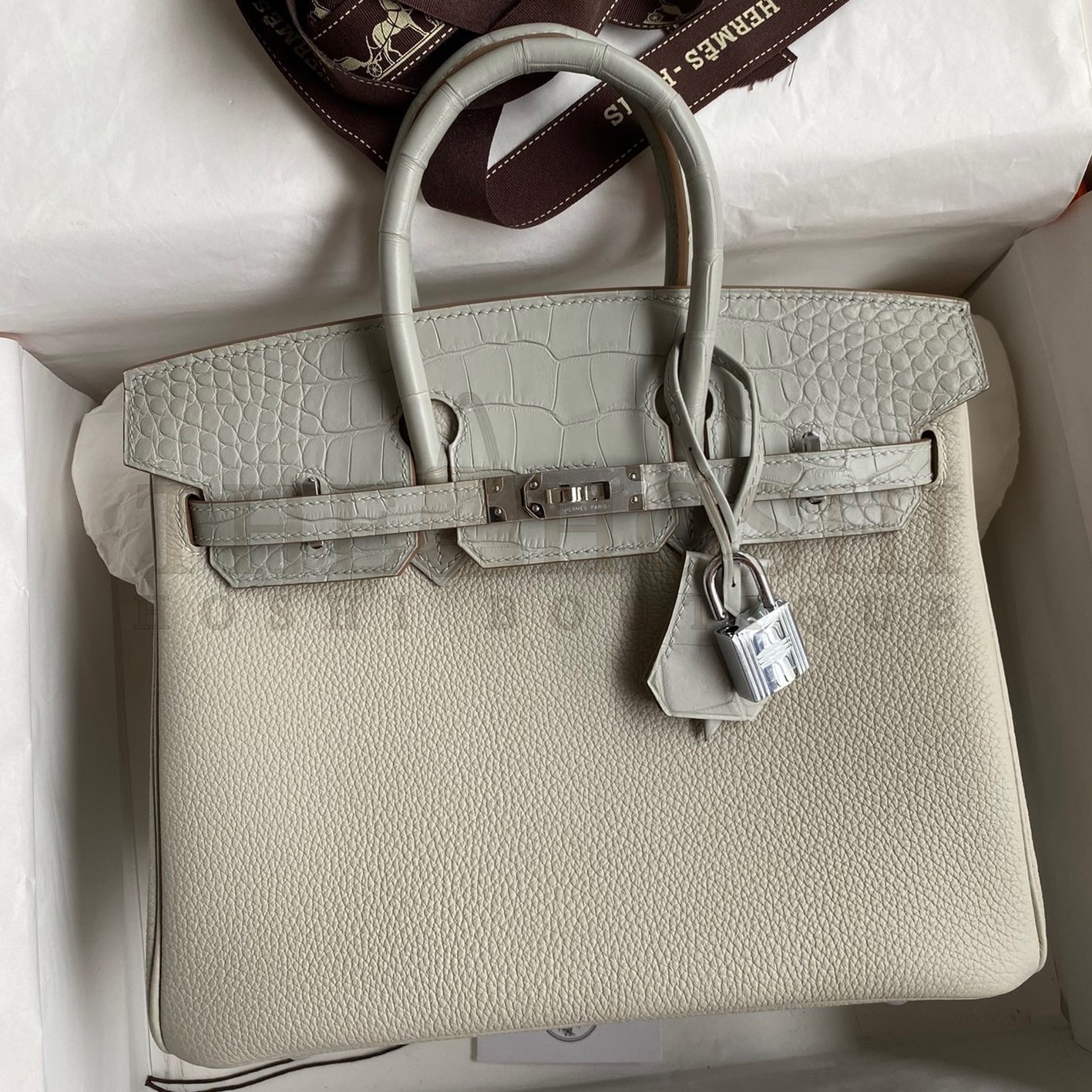 H**me5 Touch Birkin 25 Bag in Pearl Grey Togo and Matte Alligator Leather Master Quality