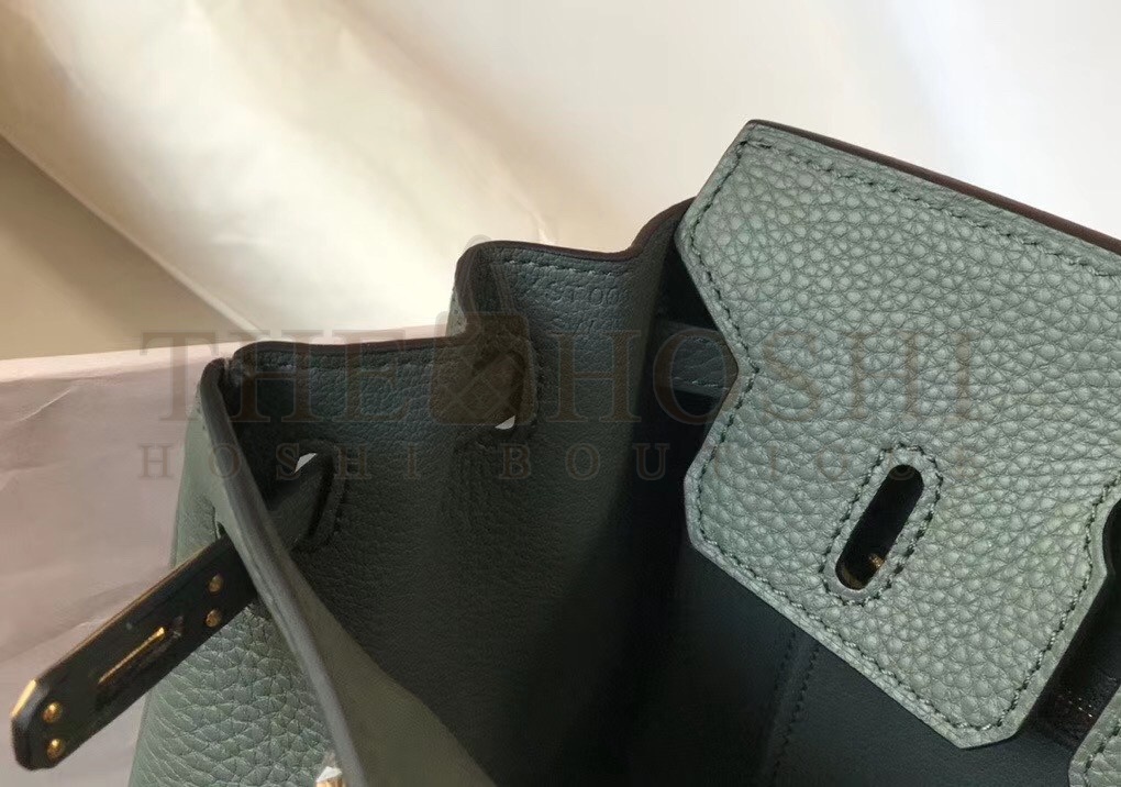 H**me5 Birkin 25 Bag In Vert Amande Clemence Leather with GHW Master Quality