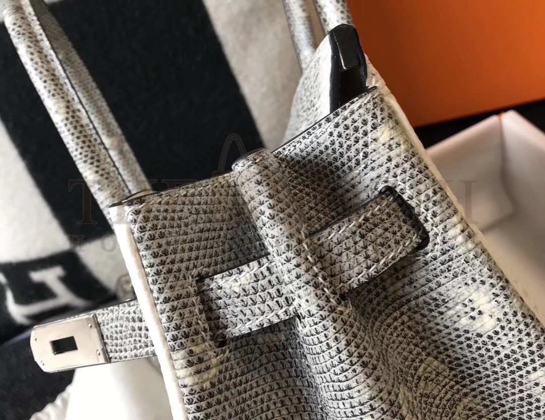 H**me5 Birkin 25cm Bag In Ombre Embossed Natural Lizard Master Quality