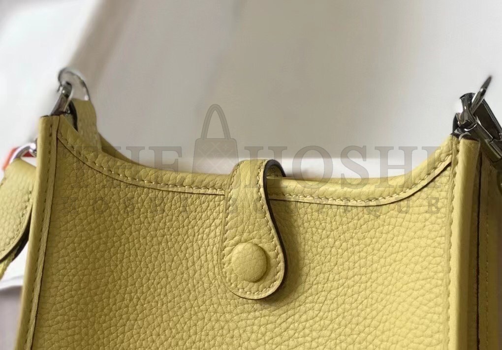 H**me5 Evelyne III TPM Bag In Jaune Poussin Clemence Leather Master Quality