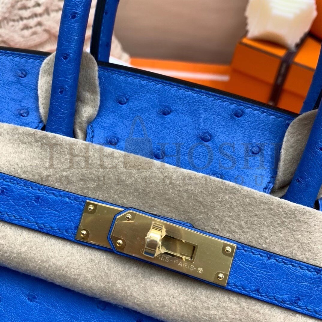 H**me5 Blue Zellige Birkin 30cm Ostrich Handmade Bag Master Quality