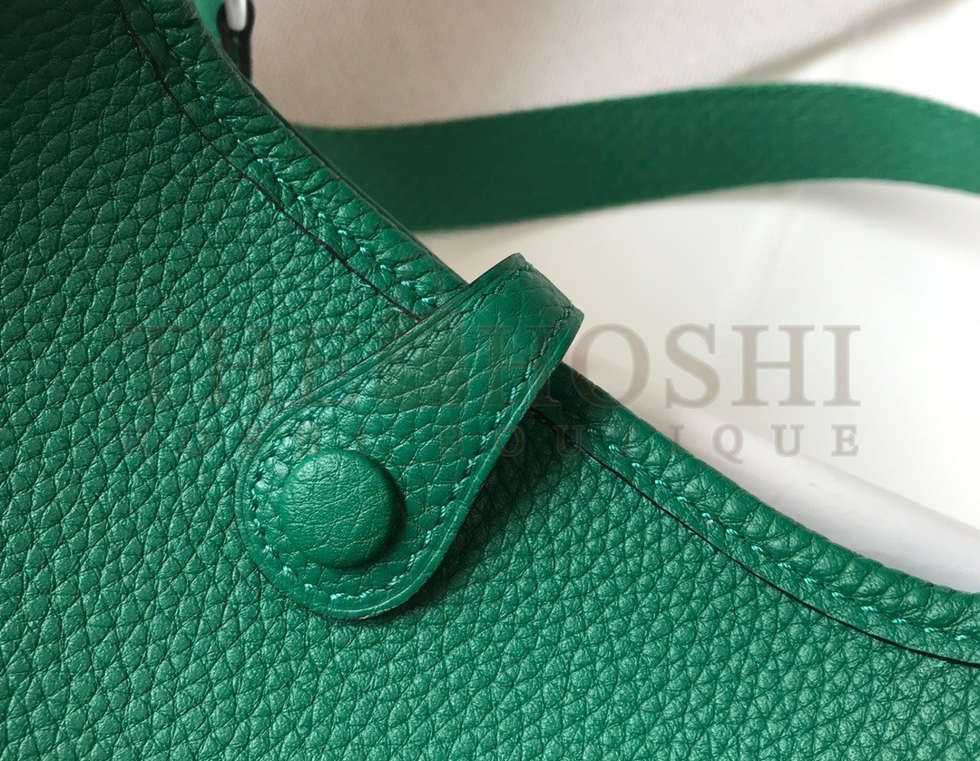 H**me5 Evelyne III Mini Bag In Vert Vertigo Clemence Leather Master Quality