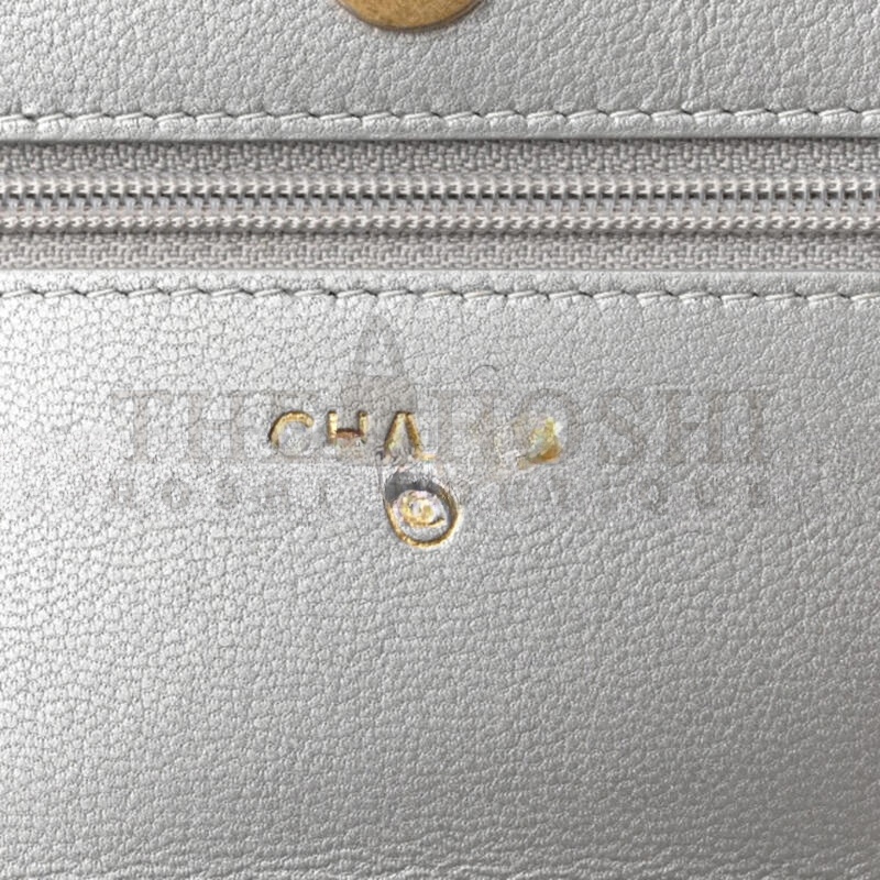 Ch**el METALLIC LAMBSKIN QUILTED 19 WALLET ON CHAIN WOC 1191203 (19*11*3cm) Master Quality